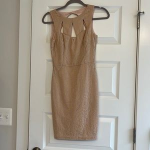 Wedding guest/cocktail lace dress